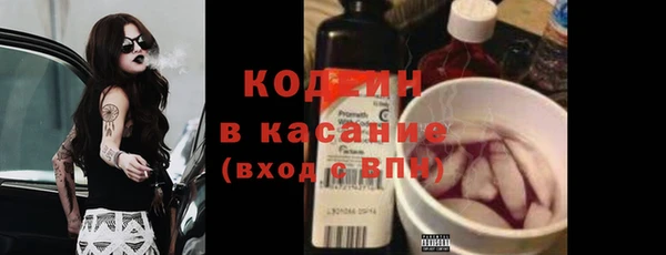 трава Белокуриха