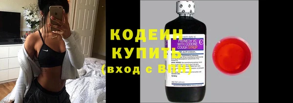 трава Белокуриха