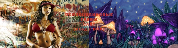 PSILOCYBIN Белоозёрский