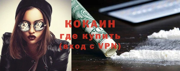 трава Белокуриха