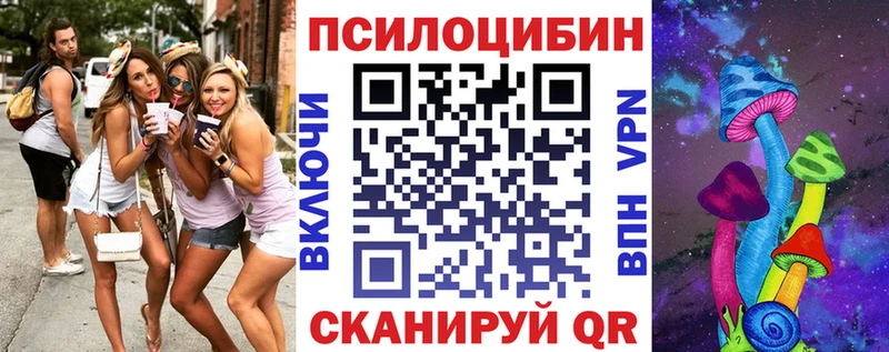 Псилоцибиновые грибы Psilocybine cubensis  Фролово 